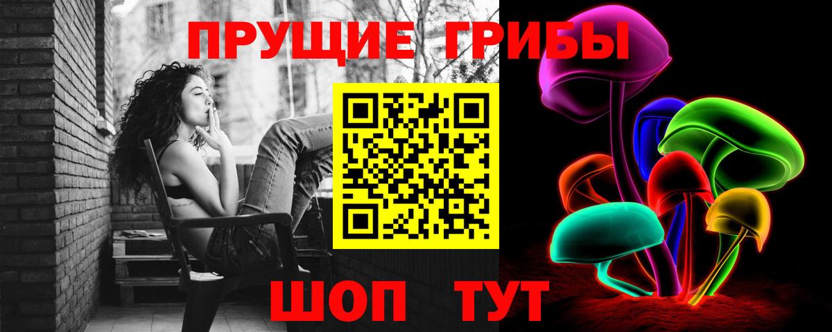 Лесосибирск  Псилоцибиновые грибы MAGIC MUSHROOMS  Вход с VPN 